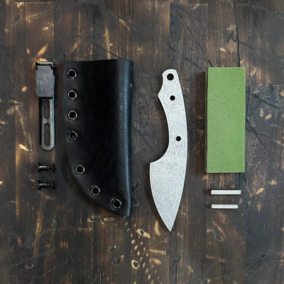 House Fly Build Kit