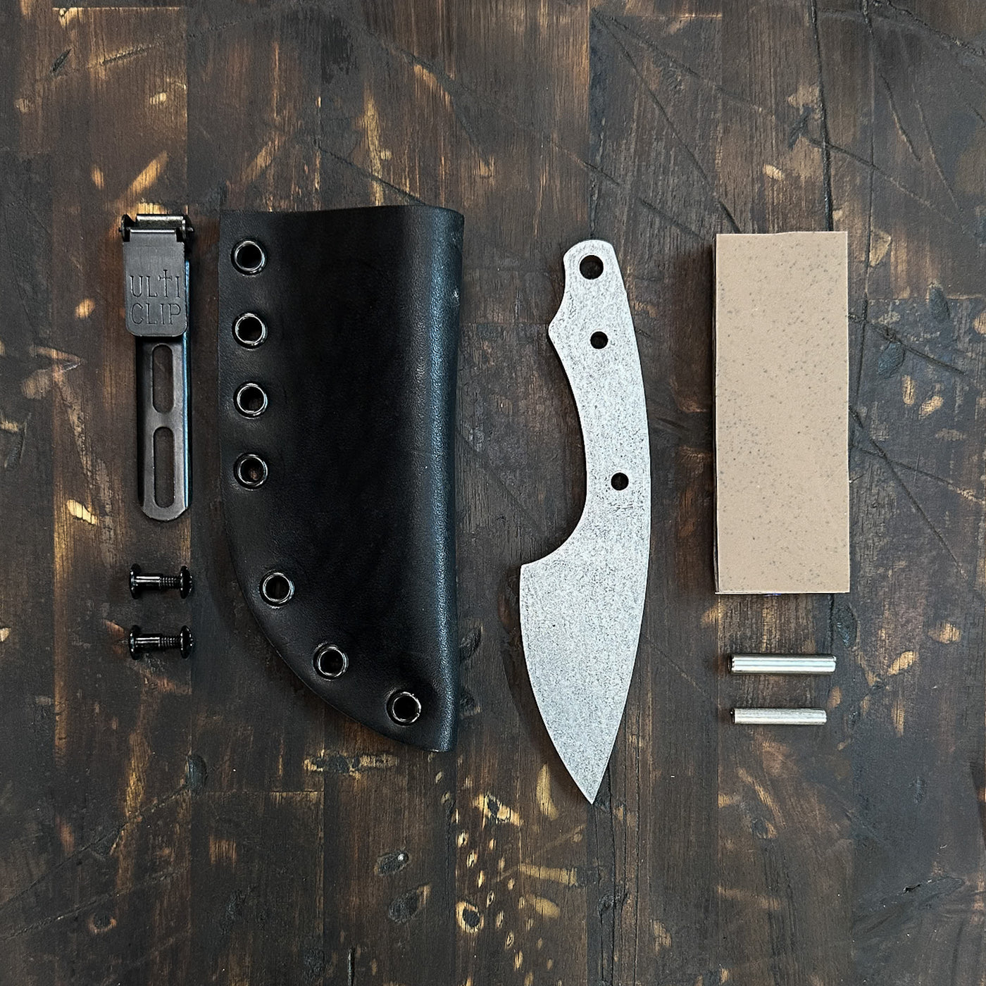 House Fly Build Kit