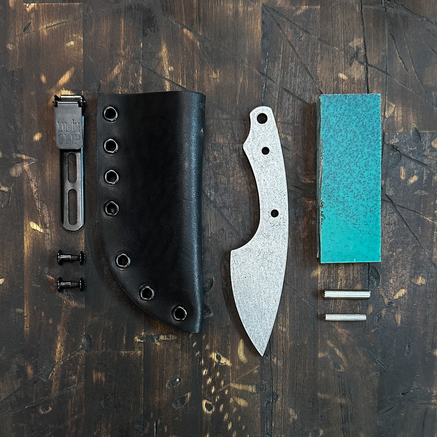 House Fly Build Kit